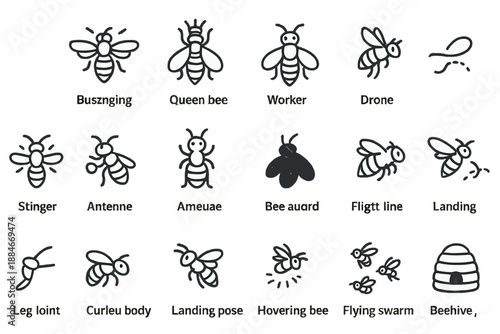 Line Style Bee Icons. Line style icons of bees: honey bee, queen bee, worker bee, drone, buzzing wings, pollen basket, hive guard,