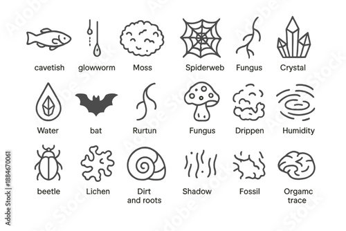 Hidden Ecosystem Icons. Line style icons of Hidden Ecosystems: cave fish, glowworm thread, moss carpet, spider web, crystal water,