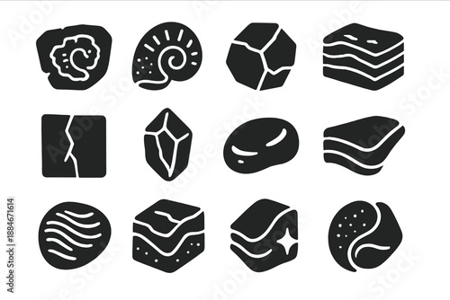 Fossil and Mineral Icons. Solid style icons of Fossil and Mineral Details: fossil fragment, textured shell, mineral vein, layered