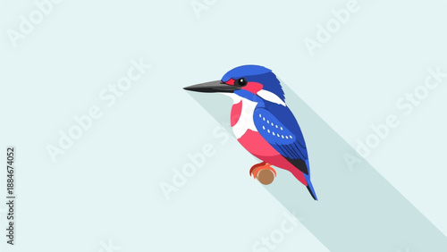 Colorful kingfisher perched on a branch casting a long shadow