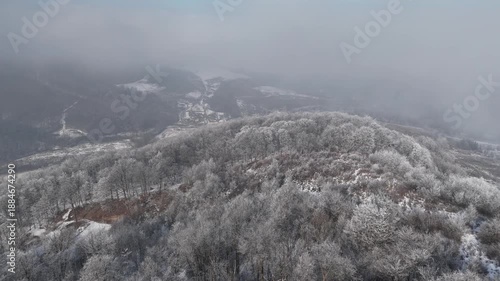 Wallpaper Mural Aerial view of forest landscape, winter time with frozen white trees Torontodigital.ca