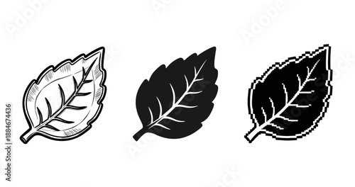 Three leaf designs: line art, solid, pixelated styles