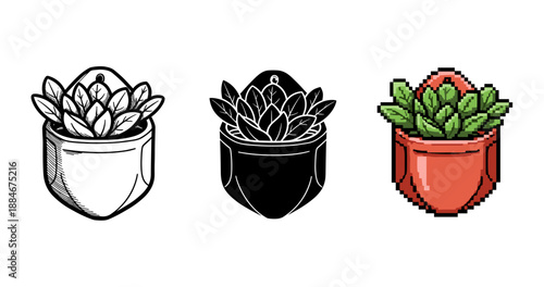 Monochrome and pixel art succulent plants in hanging pots