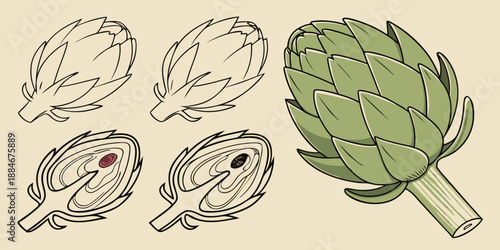 How to Draw an Artichoke – Step by Step Artichoke Drawing Tutorial for Beginners, Botanical Sketch Guide, Vegetable Illustration Lesson for Kids and Adults