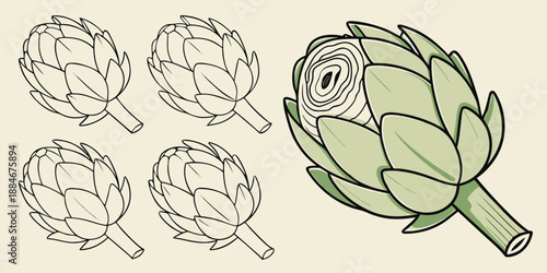 How to Draw an Artichoke – Step by Step Artichoke Drawing Tutorial for Beginners, Botanical Sketch Guide, Vegetable Illustration Lesson for Kids and Adults