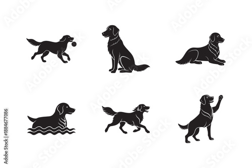 Golden Retriever Friendly Playful Dog Silhouette