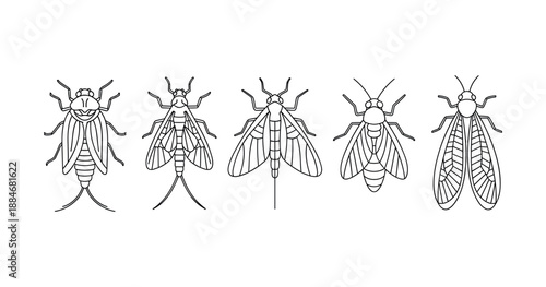 (Adobe Illustrator Artwork)