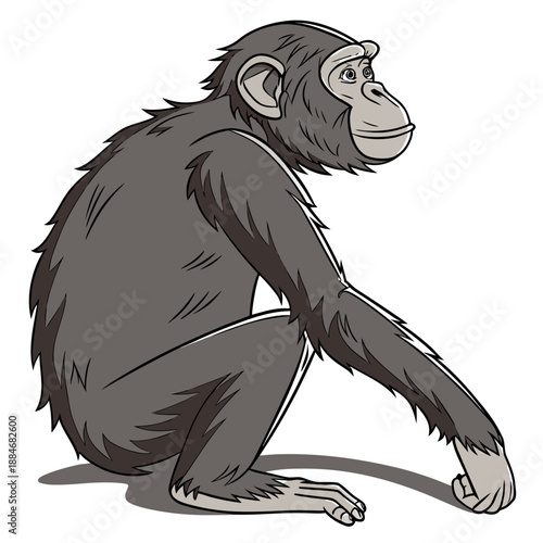 Photography Stylized Monkey Art Vector Illustration on White Background