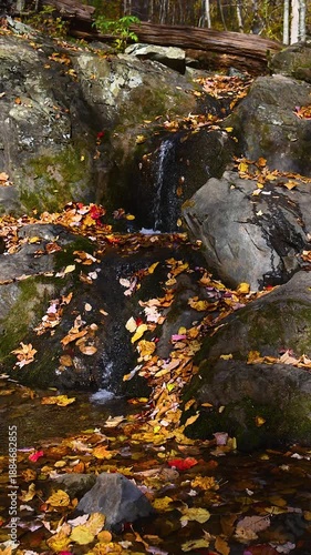 A waterfall on a hiking trail in Skyline Drive in VA.  Autumn leaves line the sides of this fall with colorful fallen leaves.  