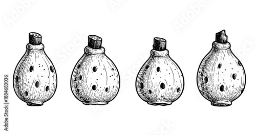 Hand-drawn collection of lotus pods isolated on white background