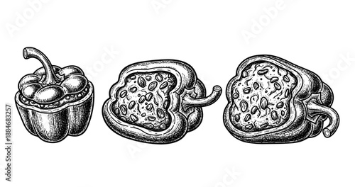 Vintage illustration of whole and sliced bell peppers in black and white