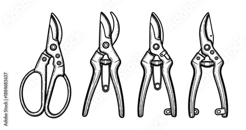Set of hand drawn gardening pruners and scissors in black and white illustration