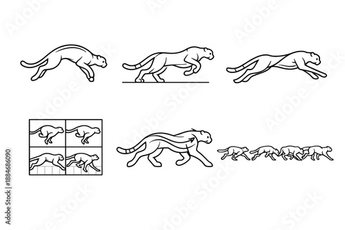 Cheetah Motion Icons. Line style vector icons of cheetah-inspired locomotion: elastic back curve, powerful rear-limb arc, forelimb