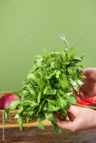 Quadro em tela Fresh Green Celery Bunch in Hand with Vegetables