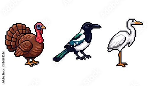 Pixel art birds: turkey, magpie, egret on white background