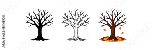 autumn halloween holidays tree with bare branches fall