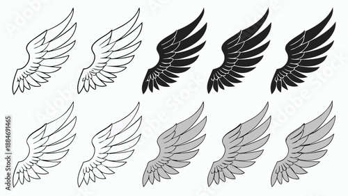 Wings Pattern Illustration: An illustrative display of wings in various designs and shades, symbolizing freedom and ascension.