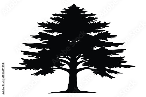 cedar silhouette line art vector illustration with a white background