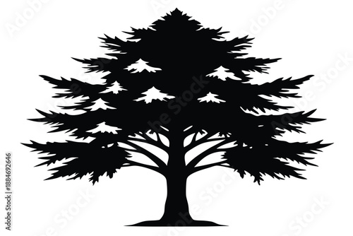cedar silhouette line art vector illustration with a white background