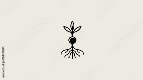 A stylized black and white illustration of a plant showing root, seed/bulb, and leaves