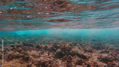 Marine life on a coral reef during a storm, slow motion, A seething sea wave rushes over a shallow coral reef with tropical fish