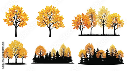 Autumn trees in various forms a collection of golden fall foliage