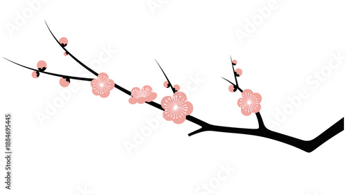 Minimalist illustration of cherry blossom branch with pink flowers