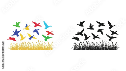 Colorful and monochrome birds taking flight over grassy fields a visual comparison