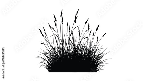 A simple black and white illustration depicting a cluster of tall grasses