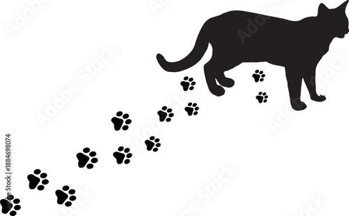 Paw Prints Background. Cute pets and Dogs pets paw print isolated on white background.