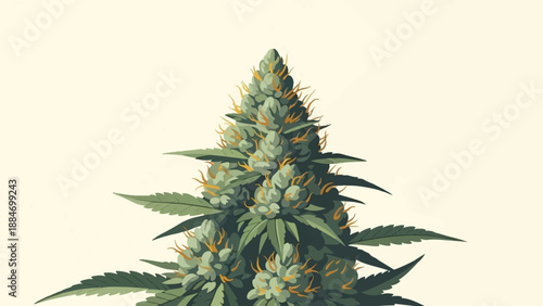 Detailed illustration of a cannabis plant bud with green leaves
