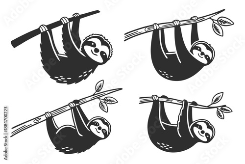 Placeholder image display