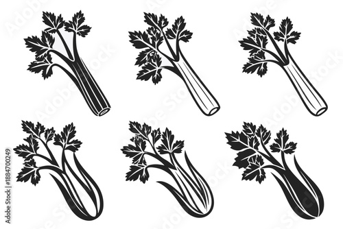 Placeholder image display