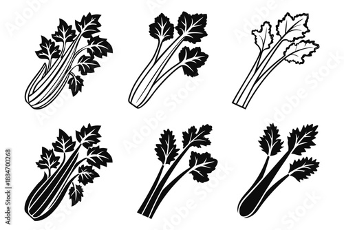 Placeholder image display