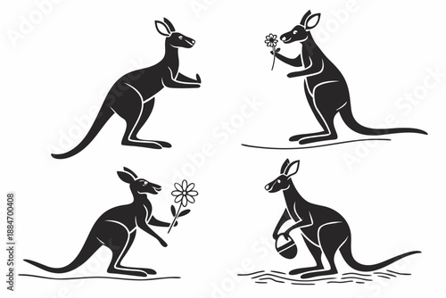 Placeholder image display