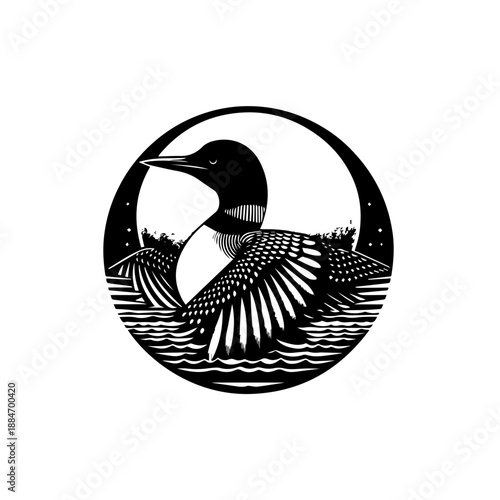 Placeholder image display