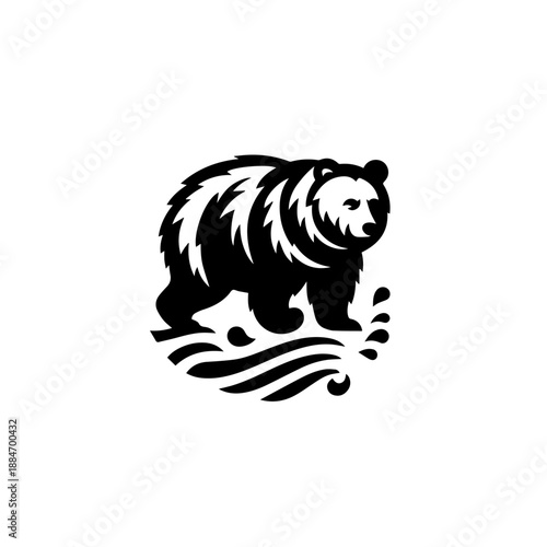 Placeholder image display