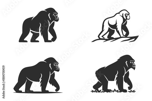 Placeholder image display