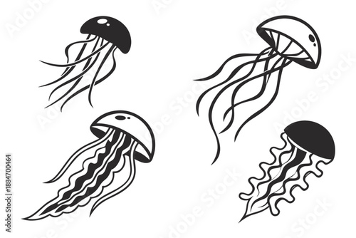 Placeholder image display