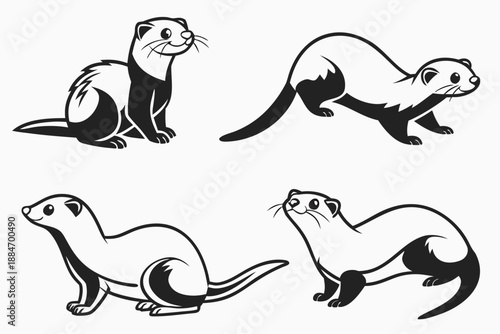 Placeholder image display