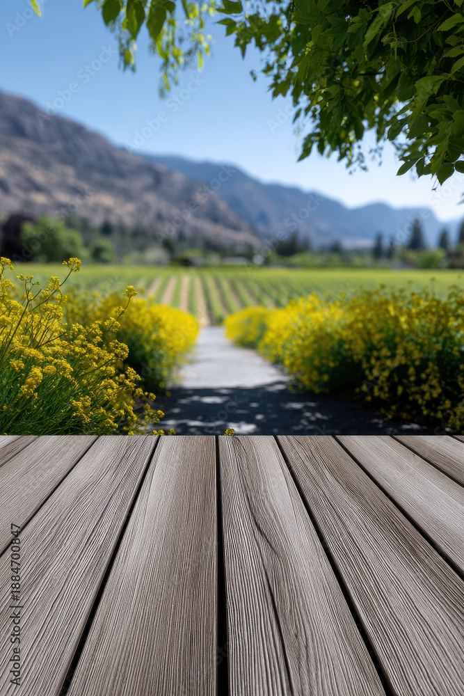 Naklejka premium Wooden deck vineyard spring valley yellow flower mountain outdoor scenic sunny nature