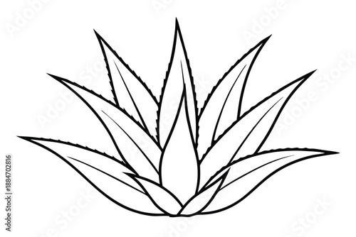 aloe vera silhouette line art vector illustration with a white background