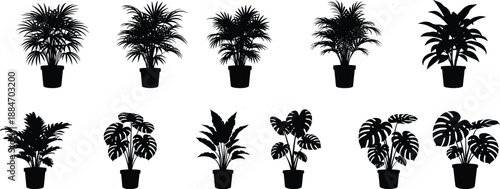 Black potted houseplant silhouettes collection, tropical indoor plants vector illustration set, modern botanical decor elements isolated on white background, for interior design