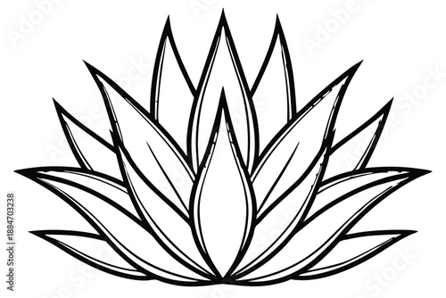 aloe vera silhouette line art vector illustration with a white background