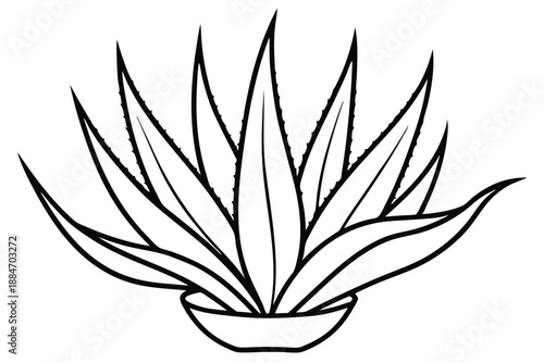 aloe vera silhouette line art vector illustration with a white background