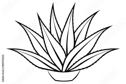 aloe vera silhouette line art vector illustration with a white background