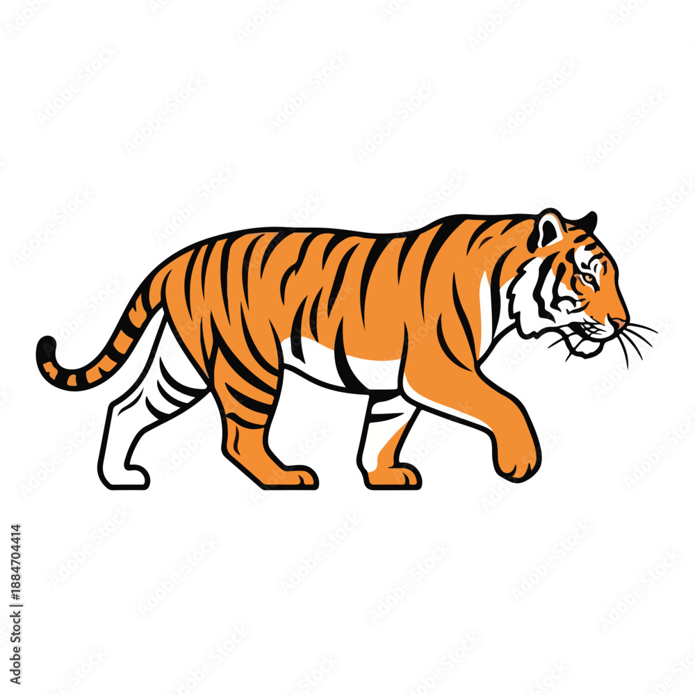 Obraz premium Tiger Walking Side Profile