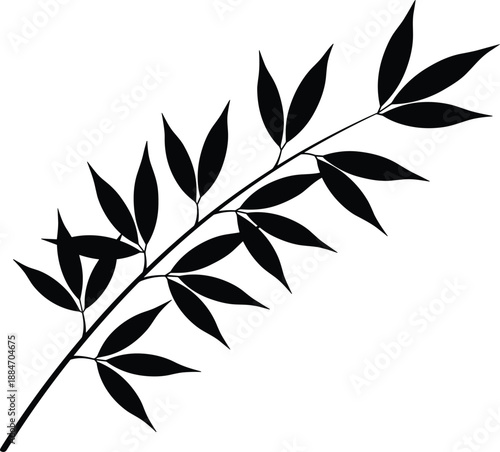 Black and white leaf branch with elongated leaves
