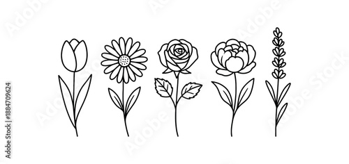 five spring flowers tulip daisy rose peony and lavender flat vector illustration clean black line art minimal detail no color white background isolated composition