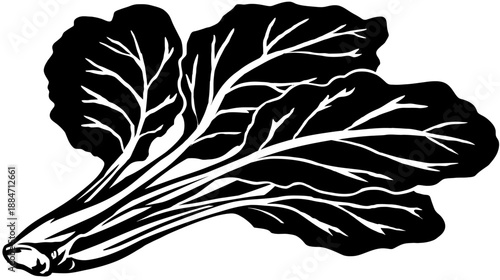 A high-contrast illustration of a leafy green vegetable. Featuring stems, veins, and layered leaves
